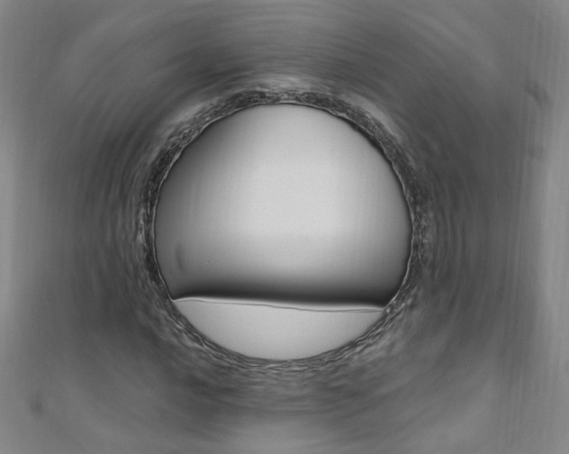 X0000110691016200906121051