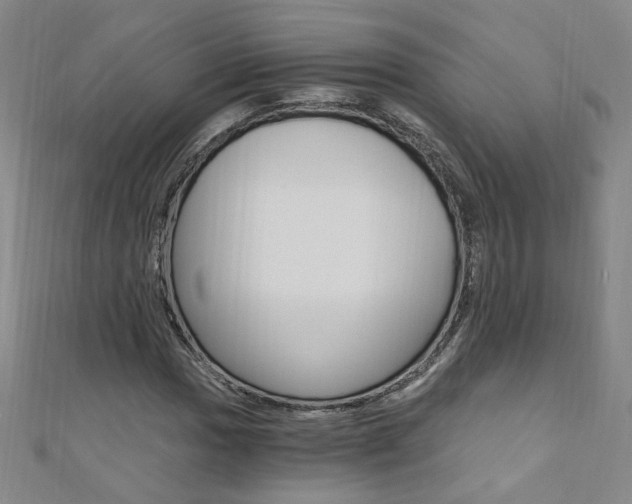 X0000110691017200906121051