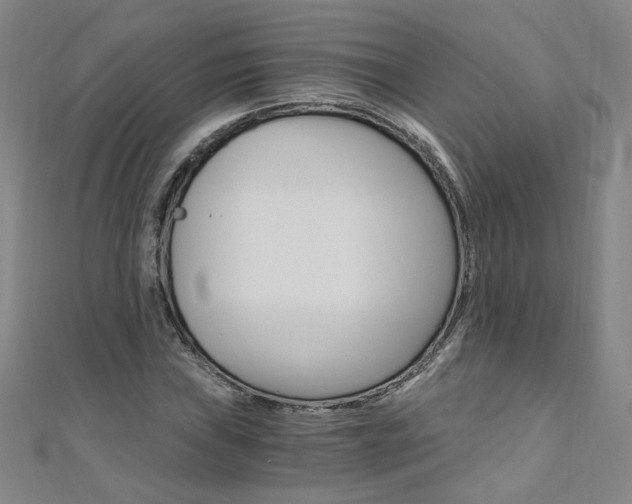 X0000110691019200906121051