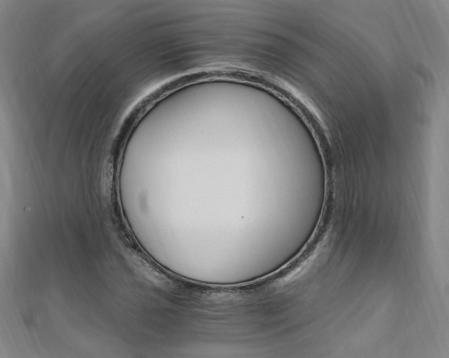X0000110691021200906121051