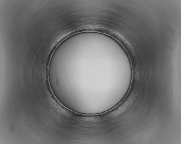 X0000110691025200906121051