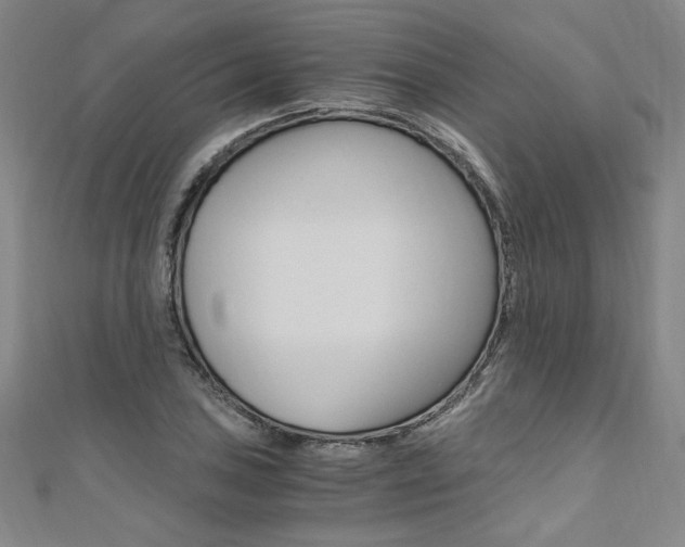 X0000110691027200906121051