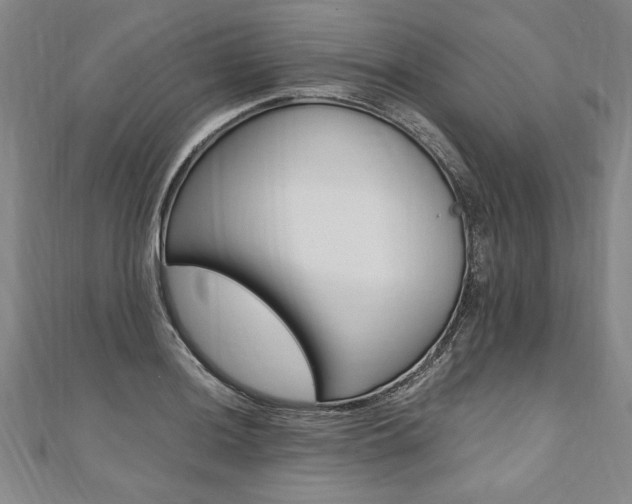 X0000110691036200906121051