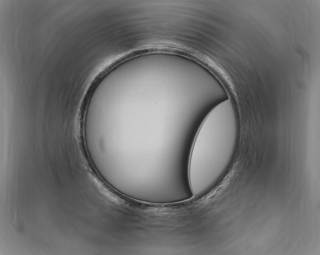 X0000110691037200906121051