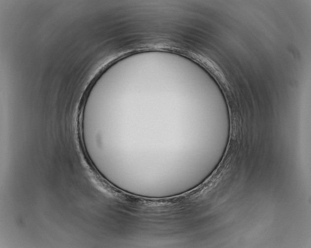 X0000110691039200906121051