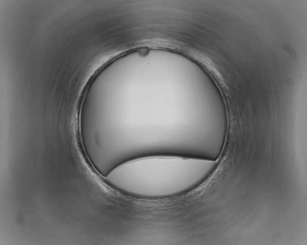 X0000110691040200906121051