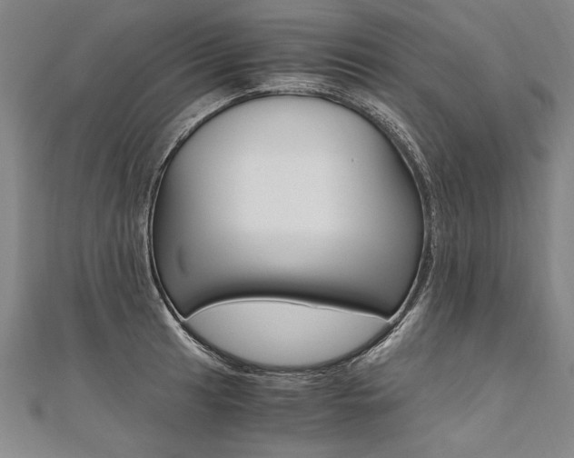 X0000110691041200906121051