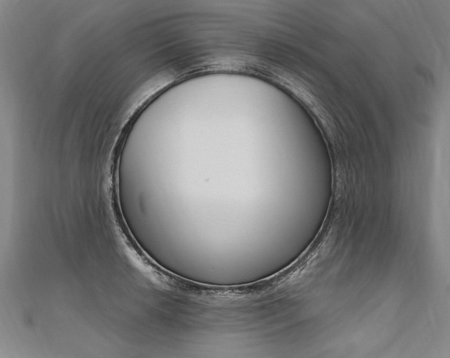 X0000110691042200906121051
