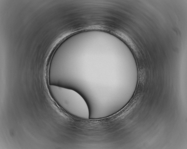 X0000110691043200906121051