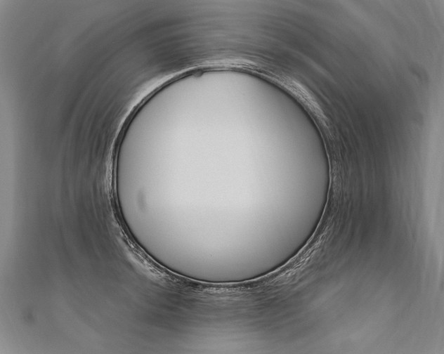 X0000110691044200906121051
