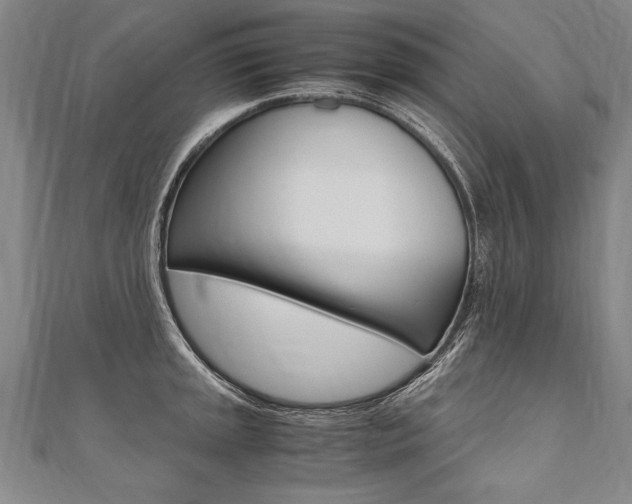 X0000110691045200906121051