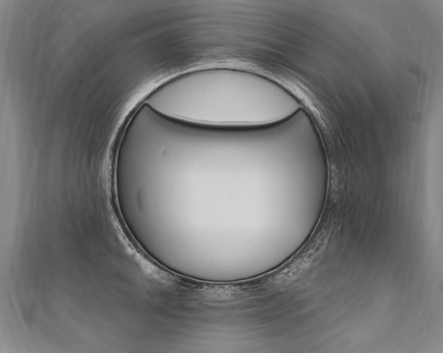 X0000110691046200906121051