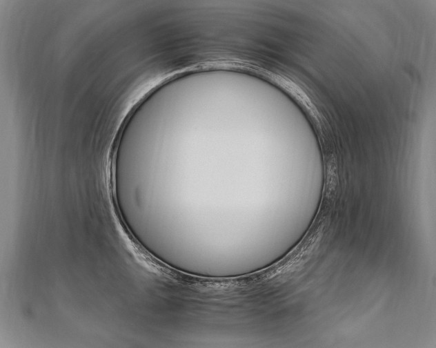 X0000110691047200906121051