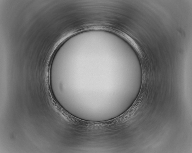 X0000110691051200906121051