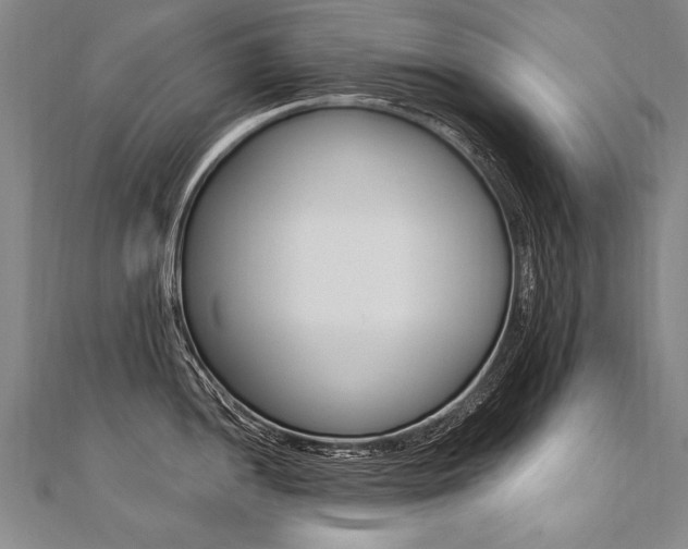 X0000110691052200906121051