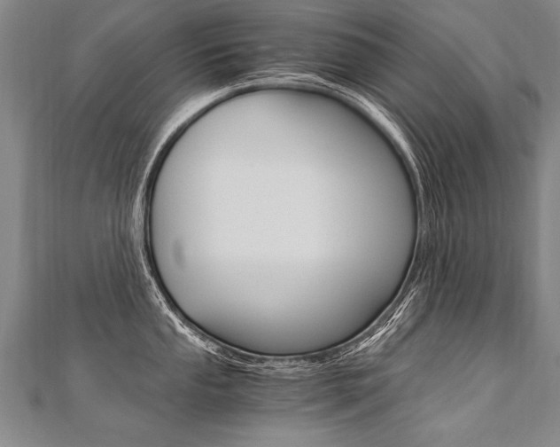 X0000110691053200906121051