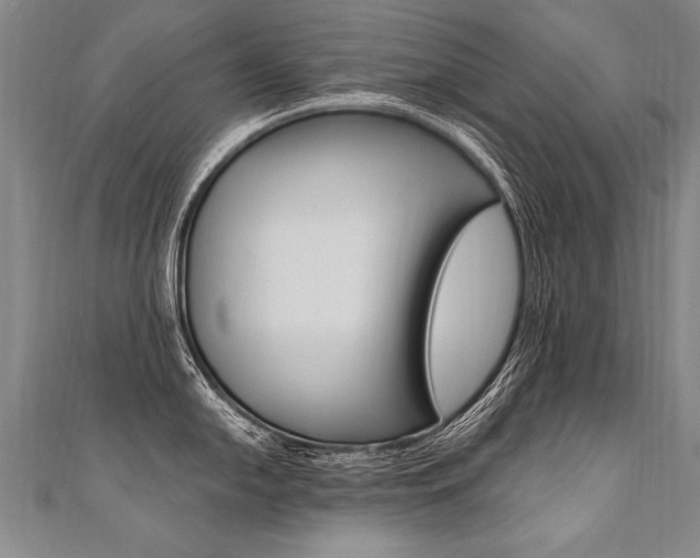 X0000110691054200906121051