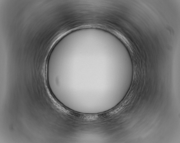 X0000110691055200906121051