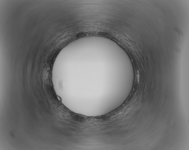 X0000110691059200906121051