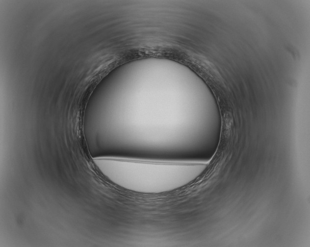 X0000110691060200906121051