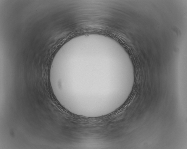 X0000110691061200906121051