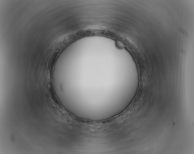 X0000110691062200906121051