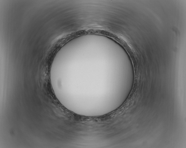 X0000110691063200906121051