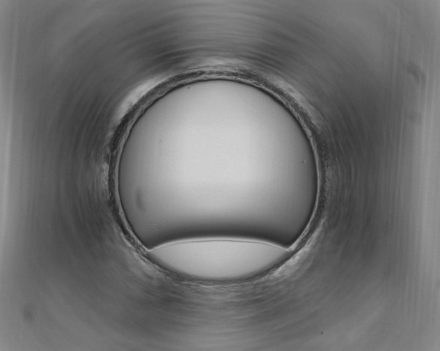 X0000110691066200906121051