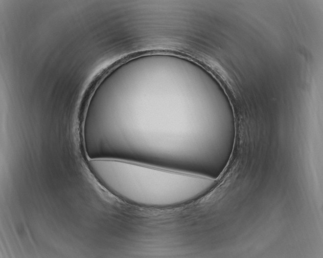 X0000110691072200906121051