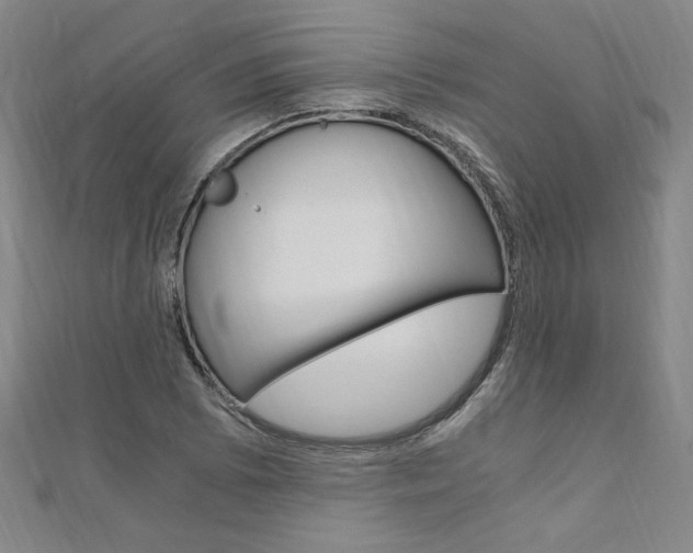 X0000110691073200906121051