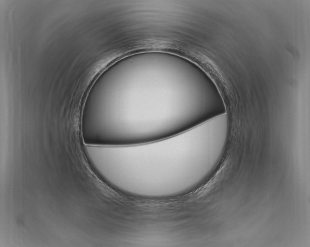 X0000110691081200906121050
