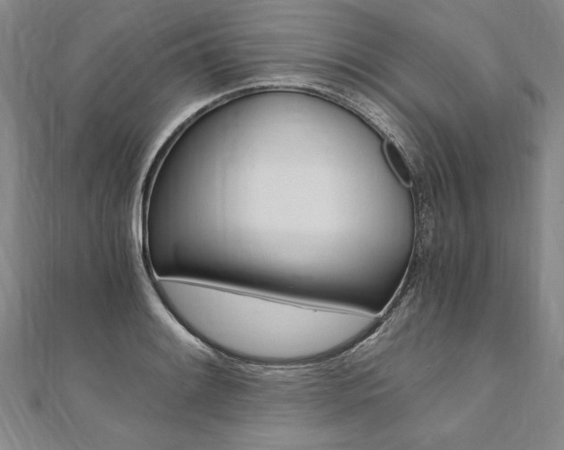 X0000110691084200906121050