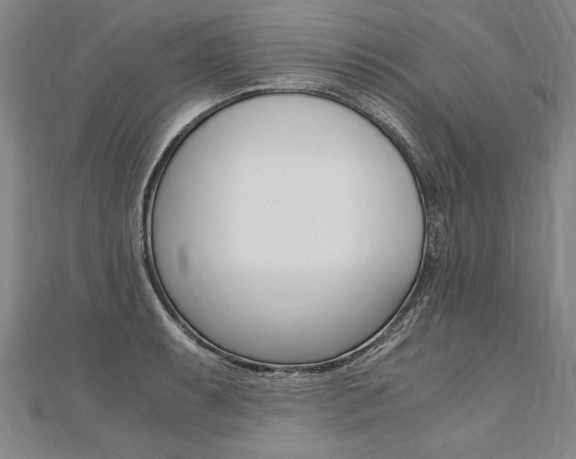 X0000110691087200906121050