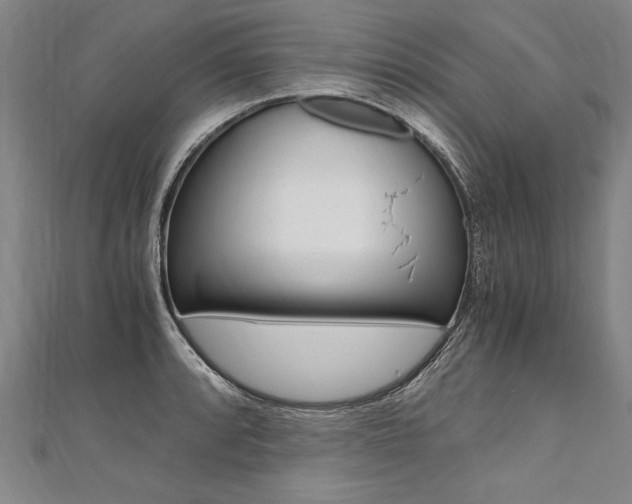 X0000110691088200906121050