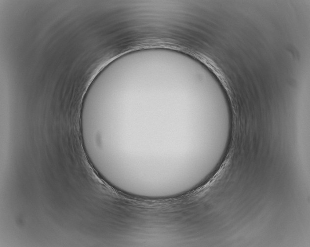 X0000110691089200906121050