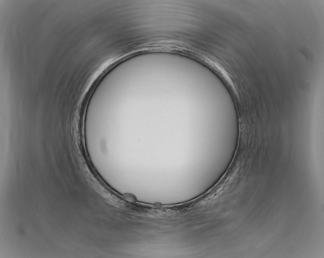 X0000110691091200906121050