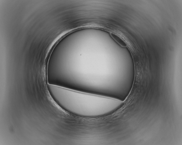 X0000110691092200906121050