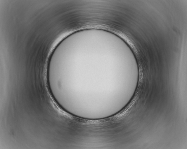 X0000110691094200906121050