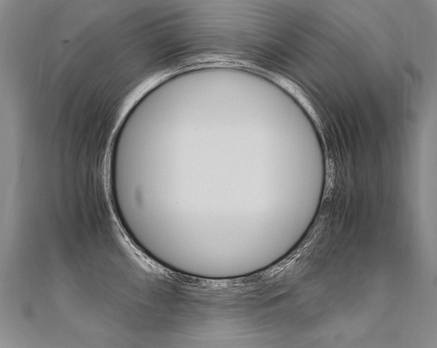 X0000110691098200906121050