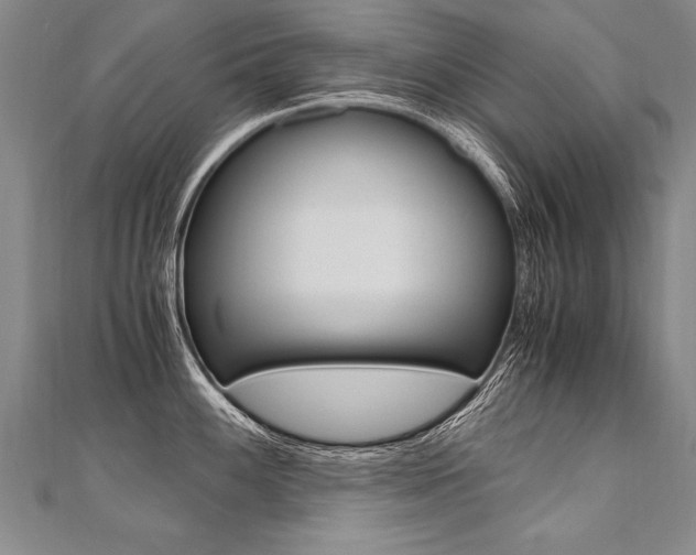 X0000110691100200906121050