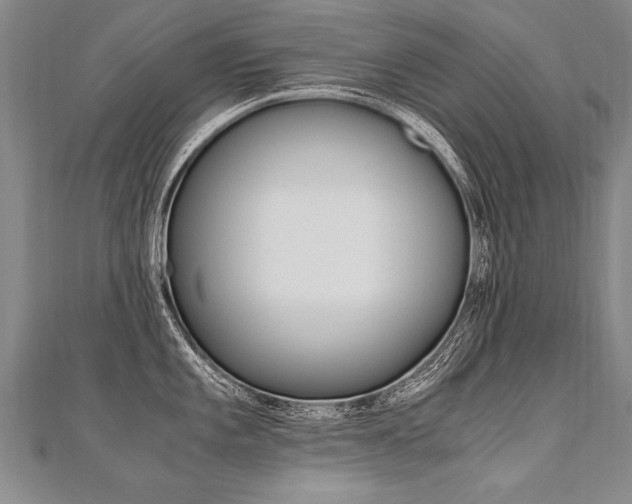 X0000110691101200906121050