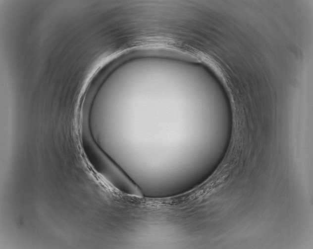 X0000110691104200906121050
