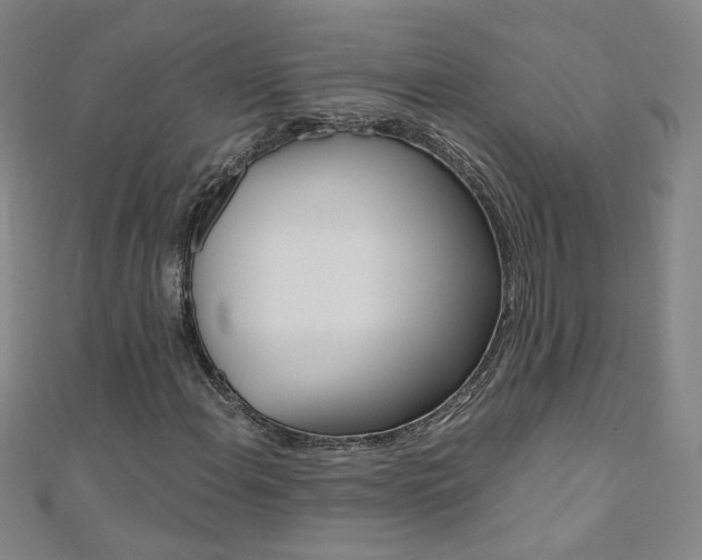 X0000110691108200906121050