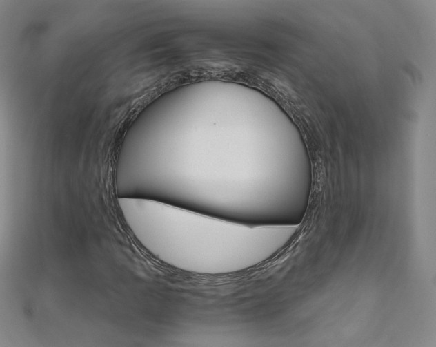 X0000110691109200906121050