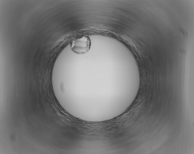X0000110691110200906121050