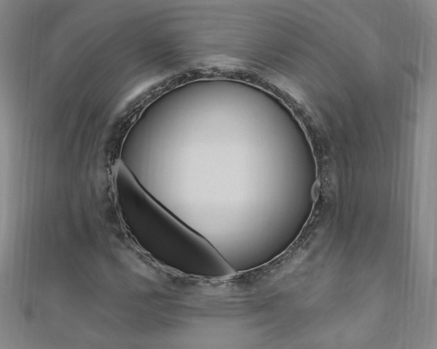 X0000110691112200906121050