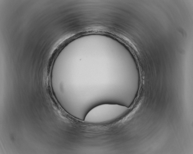 X0000110691117200906121050