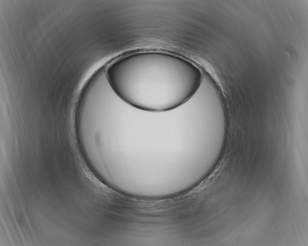 X0000110691120200906121050