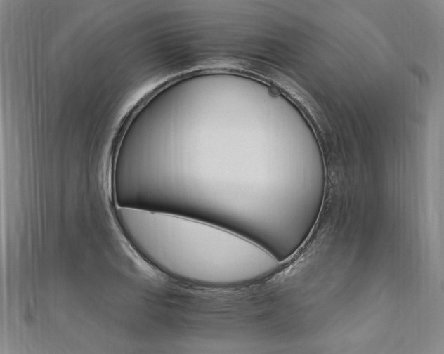 X0000110691127200906121050