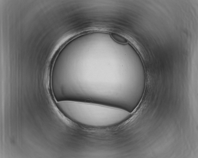 X0000110691131200906121050